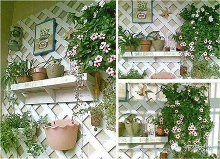 攀爬花卉 攀爬花卉