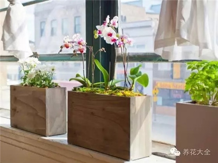 创意花器提升逼格 创意花器提升逼格