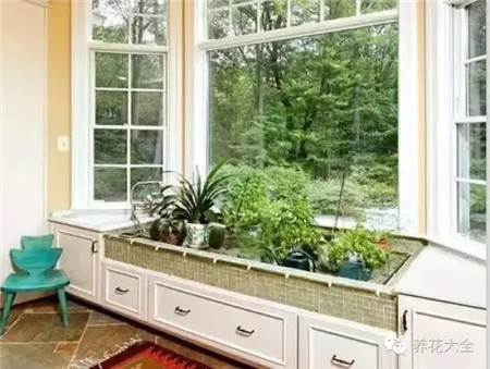 创意花器 创意花器