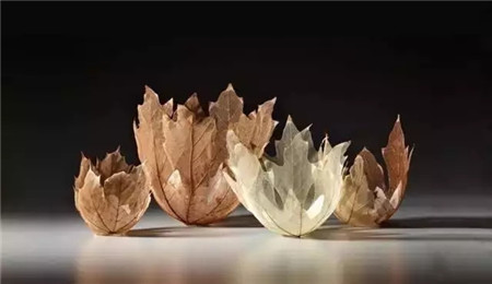 精致的树叶碗 精致的树叶碗
