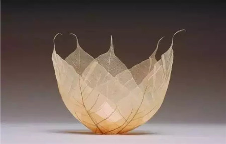 树叶碗 树叶碗