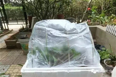 保持土壤濕潤