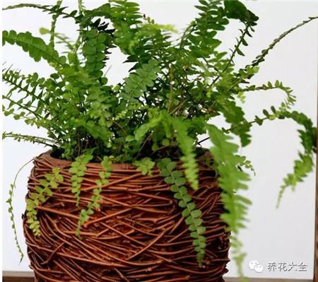 7月