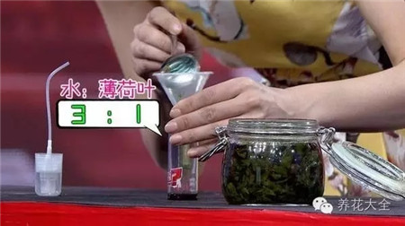 第六步 第六步