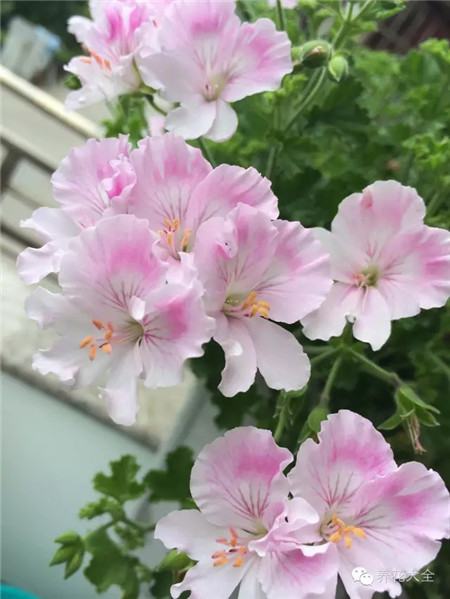 o托克五月 o托克五月