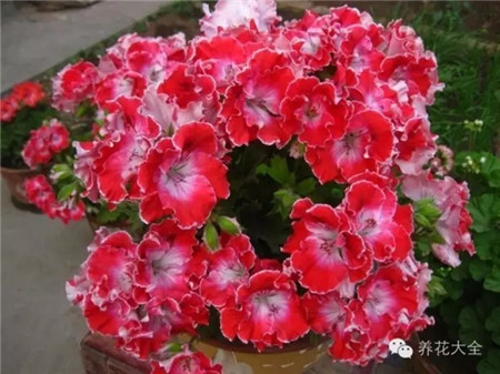 o丽江 o丽江