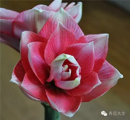 奇幻梦境 奇幻梦境