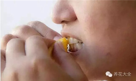 洗牙神器 洗牙神器