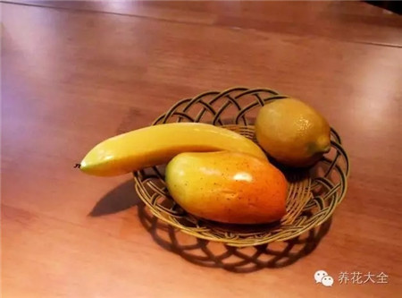 催熟 催熟