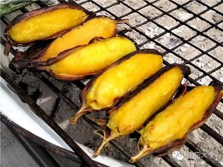 治痔疮 治痔疮