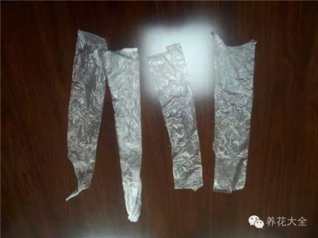 做嫁接压条和短截的捆绑材料 做嫁接压条和短截的捆绑材料
