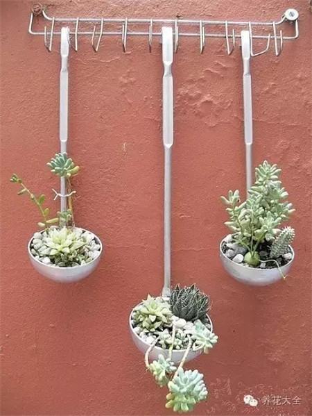 变废为宝的DIY花盆 变废为宝的DIY花盆