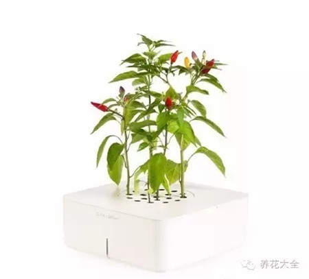 完全智能化的创意花盆 完全智能化的创意花盆