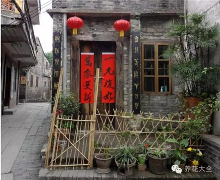 几盆花 几盆花