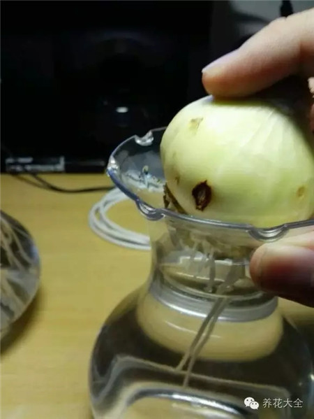 换水处理