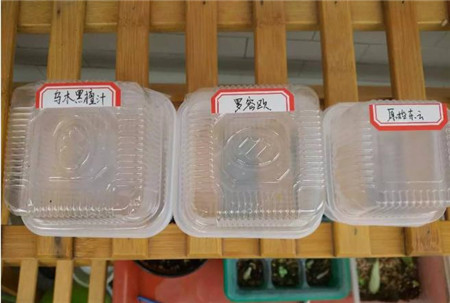 制作标签并贴在盒面