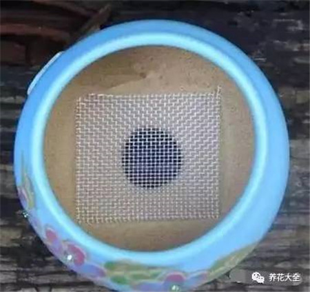 防虫网
