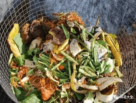 厨房垃圾堆肥 厨房垃圾堆肥