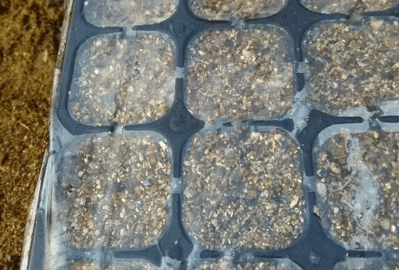 育苗盒覆盖薄膜