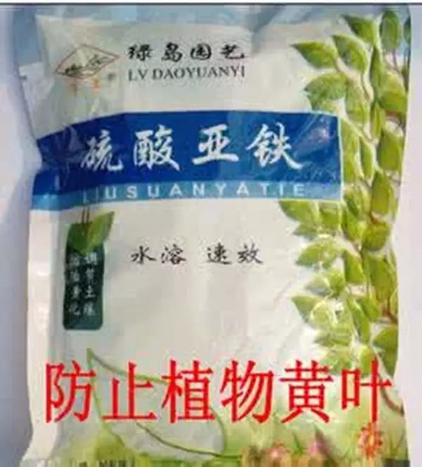 硫酸亚铁按照1:500的比例稀释，倒入水培瓶中，它可以迅速释放铁元素，缓解花草黄叶。