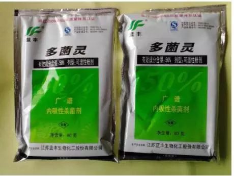 根部伤口处涂抹一些多菌灵消毒，放在阴凉通风处晾干。