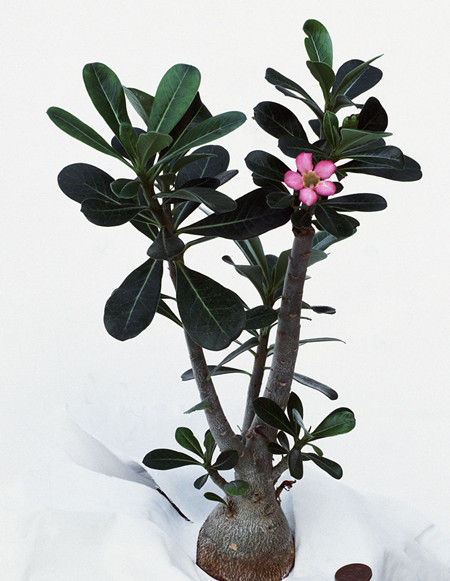 养护不到位
