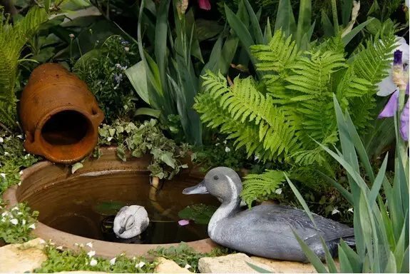 午饭的时候， 直接在菜地里摘下鲜嫩嫩的小蔬菜， 从鸡窝拿出热乎乎刚下的鸡蛋， 摊一锅香喷喷的小葱鸡蛋饼。