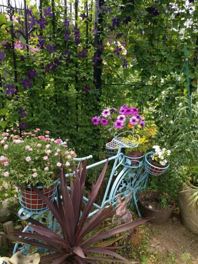 在这样一个院子里， 你可以做任何你想做的事情，。 在短暂的人生中，趁着时光还在， 把年轻时候的遗憾，全都一一补回来。