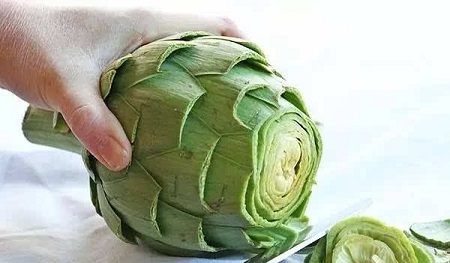 菜蓟