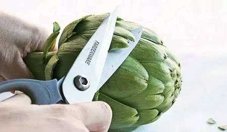 菜蓟处理