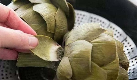 煮熟的菜蓟