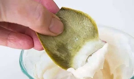 蘸着食用