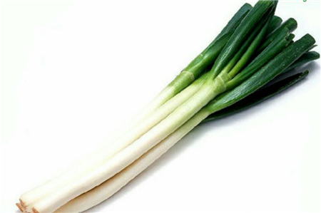 大葱