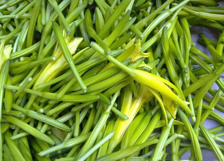 鲜黄花菜