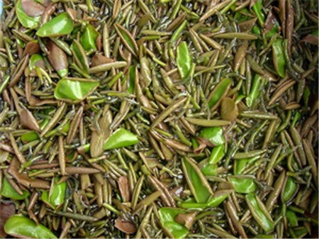 漂亮的莼菜