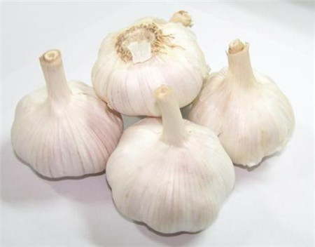 大蒜