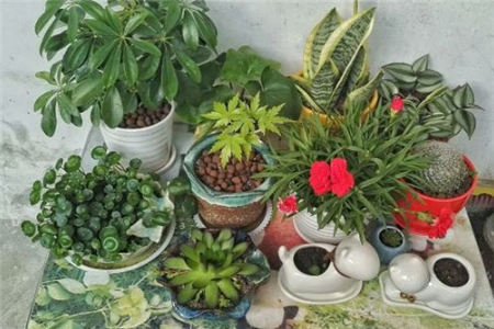 小花园