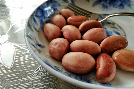 菠萝蜜核