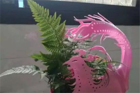 洗衣液桶做花盆 