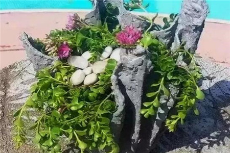 水泥毛巾做花盆 