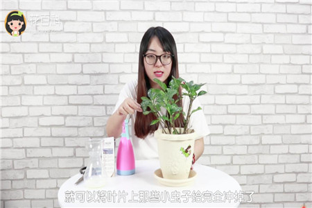 牛奶杀虫