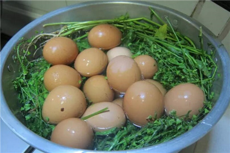 艾草煮鸡蛋 艾草煮鸡蛋