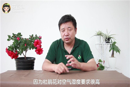 过于干燥