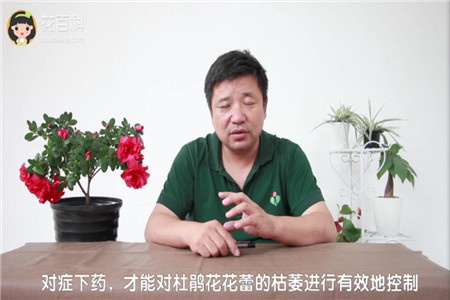 对症下药