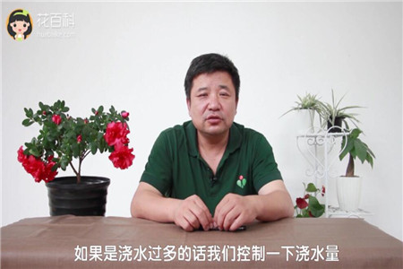 减少浇水