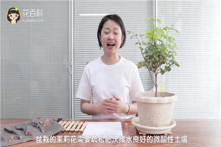 土壤