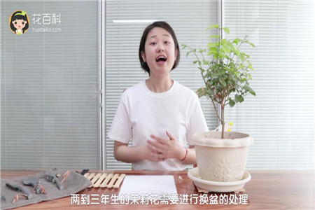 换盆