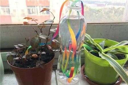 用塑料瓶制作流水装置图片