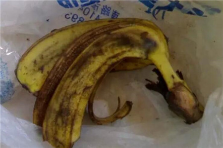 香蕉皮 