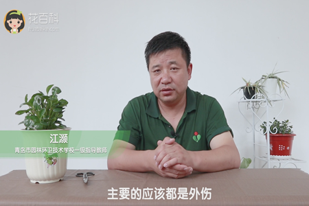 主要的应该都是外伤